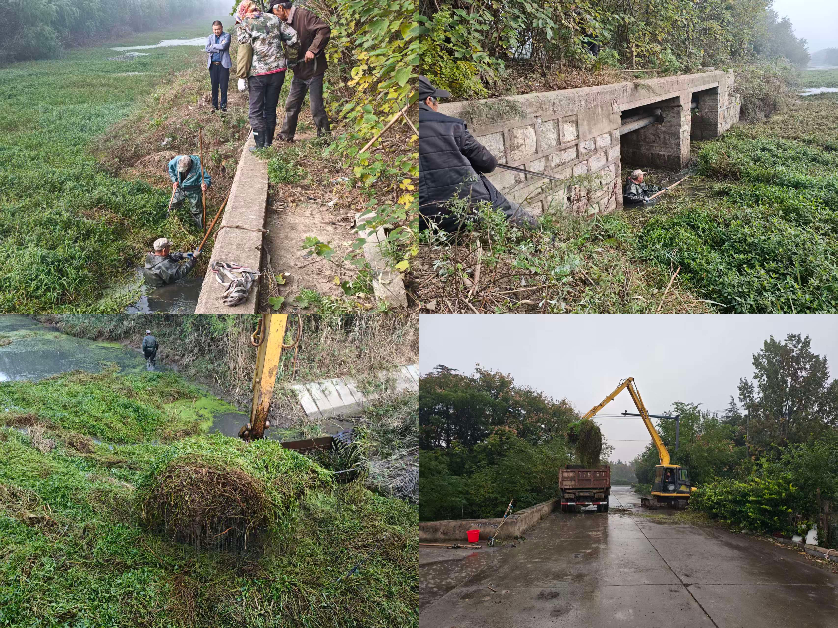 2.辖区河道清理.jpg