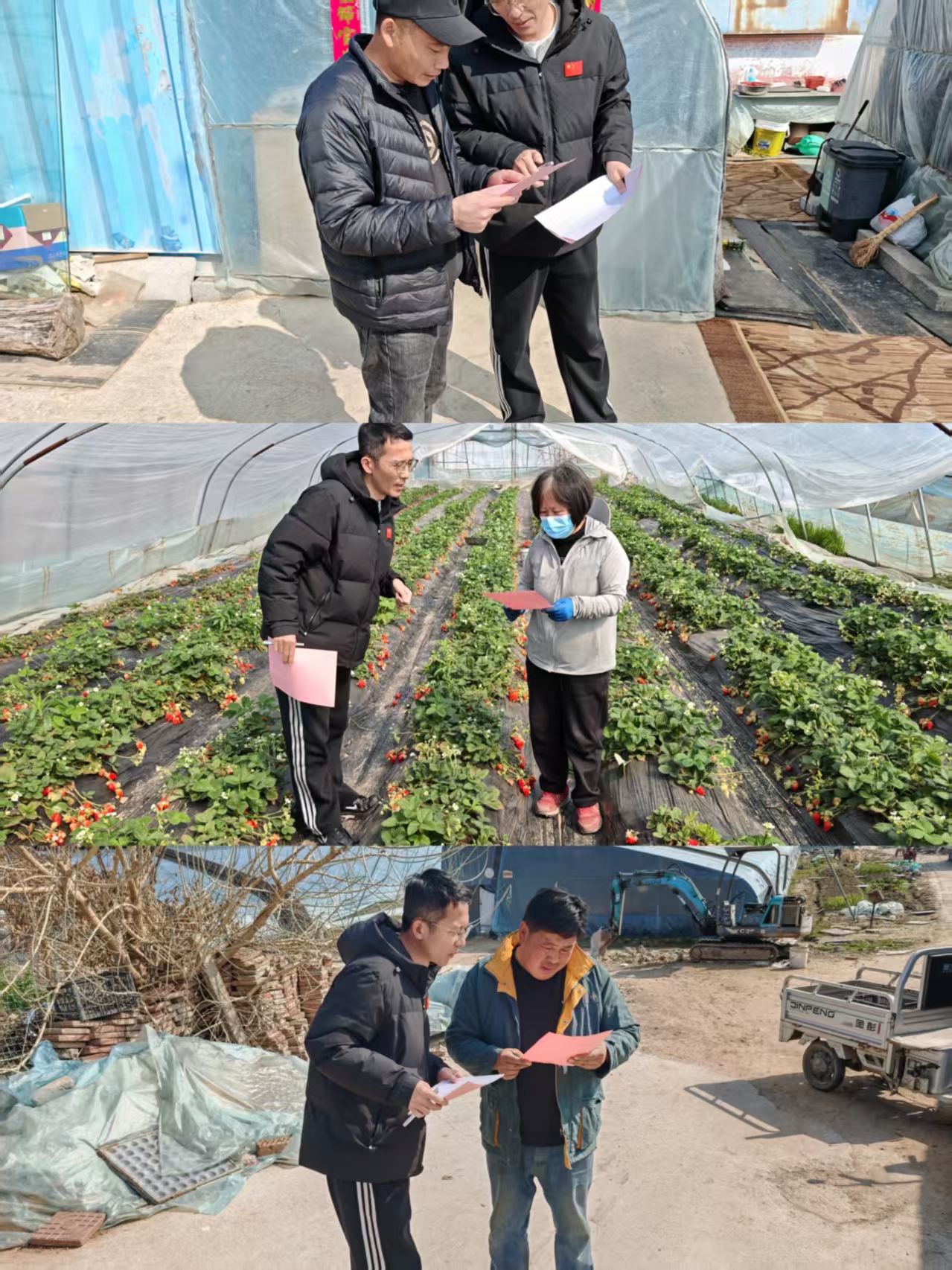 12.草莓产业园检查.jpg