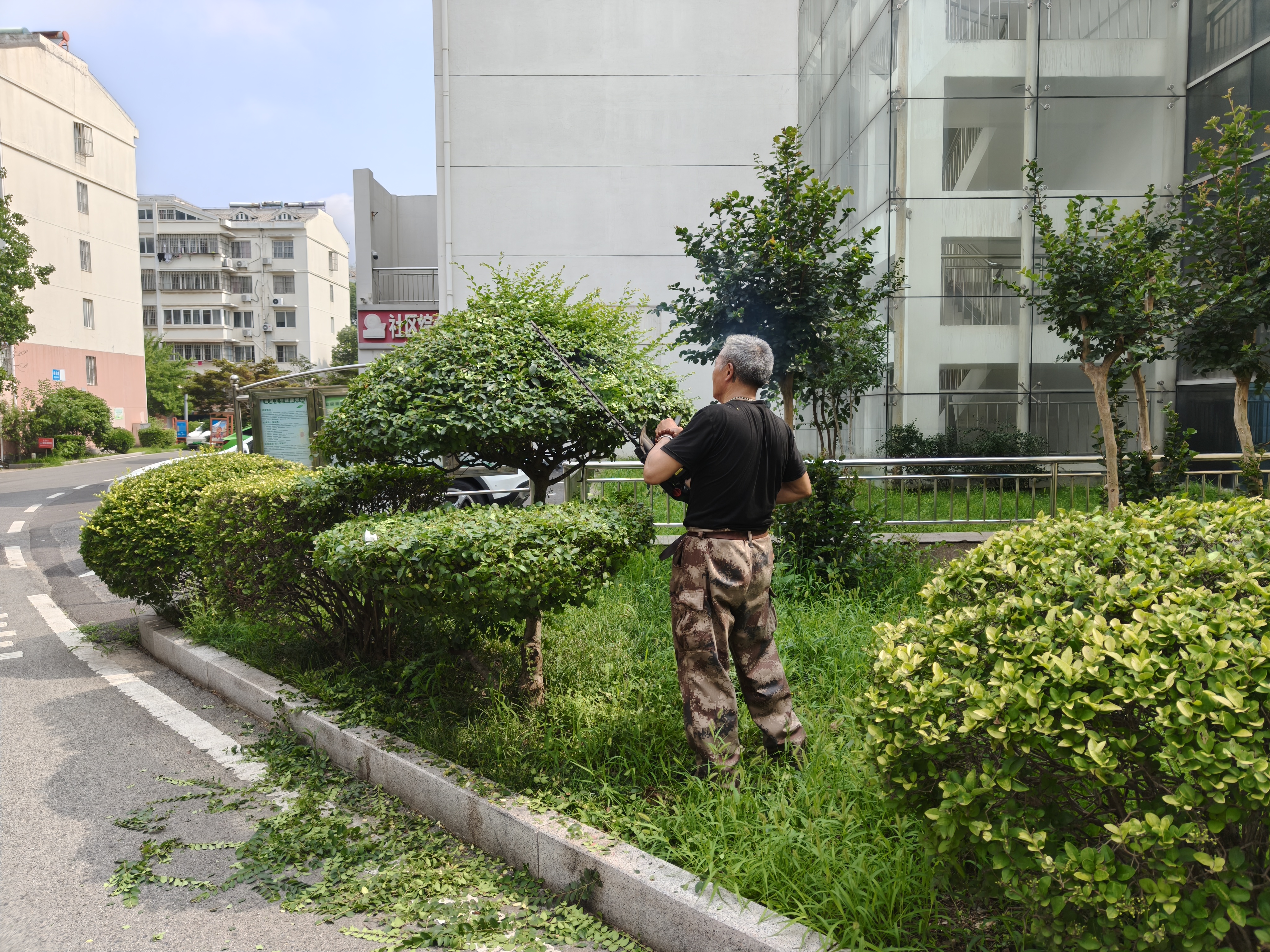 新光社区修剪绿化.jpg