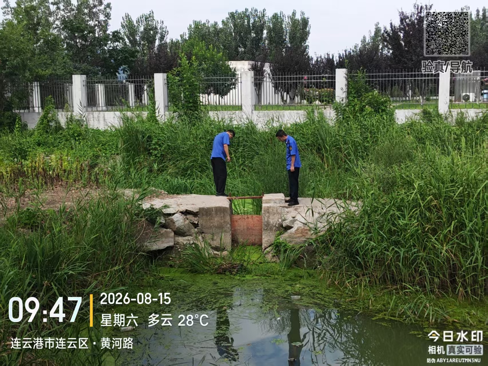 8.15巡查江庄云门河道闸口.jpg