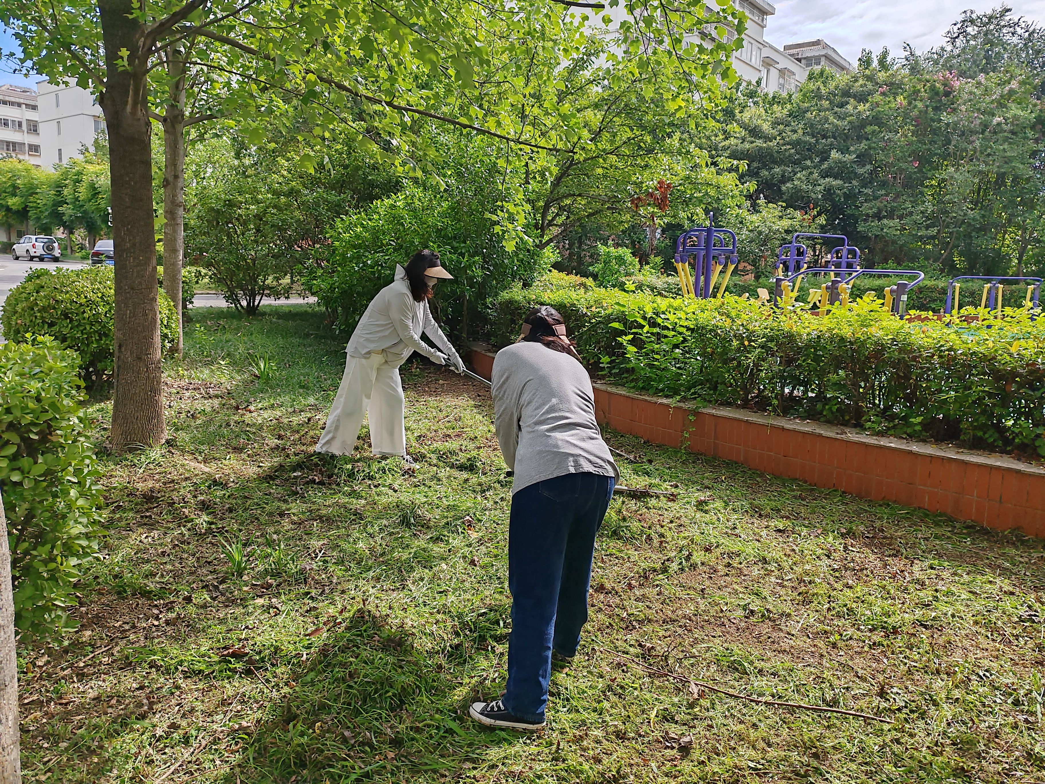 新光社区绿化除草.jpg