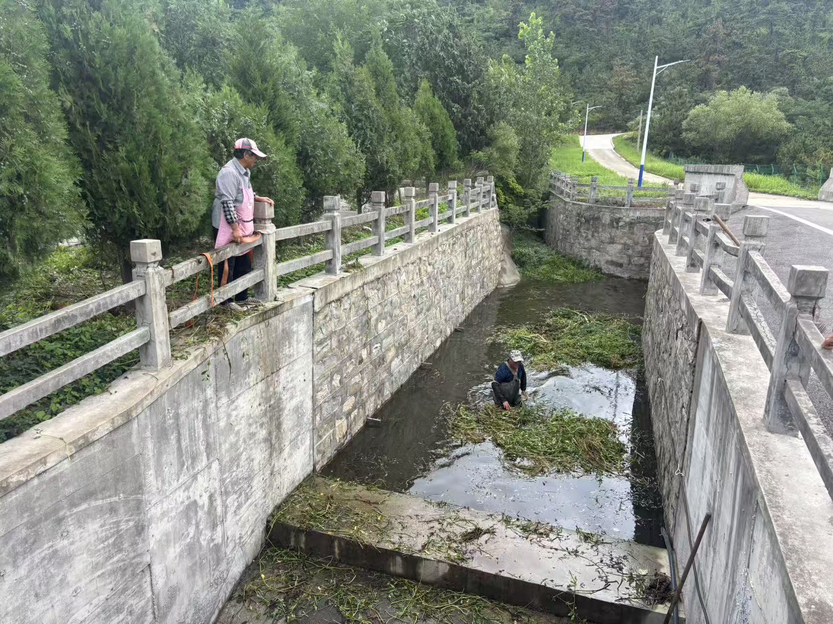 黄岭村溢洪道杂草清理.jpg